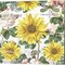 Paris & New Orleans Garden by Mary Jane Creative 14" x 14" Canvas Wall Art (Set of 2)